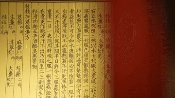 跟着总书记探寻中华文明｜医圣祠：千年药香 承古启今(图3)