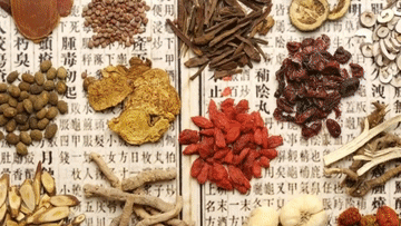 跟着总书记探寻中华文明｜医圣祠：千年药香 承古启今(图4)